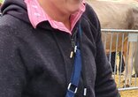 Chilbi und Viehschau Schänis