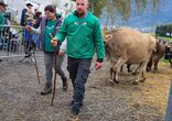 Chilbi und Viehschau Schänis